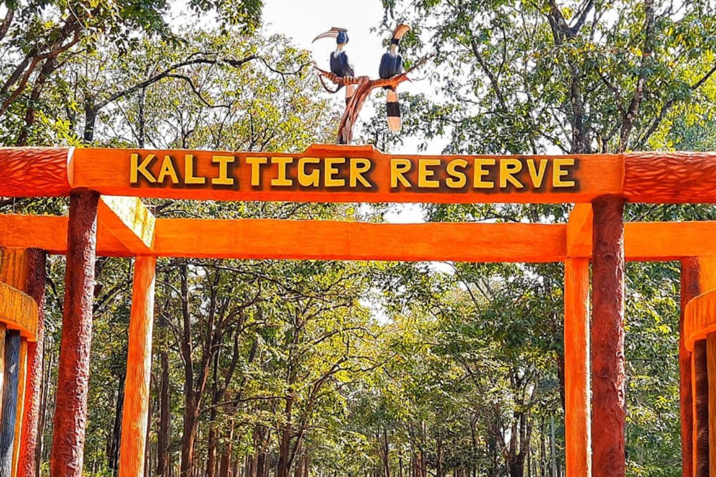 Kali Tiger Reserve